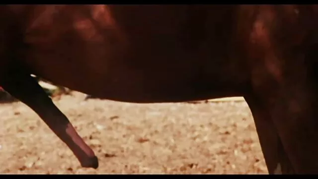 Natasha xnxx mama caliente agradable