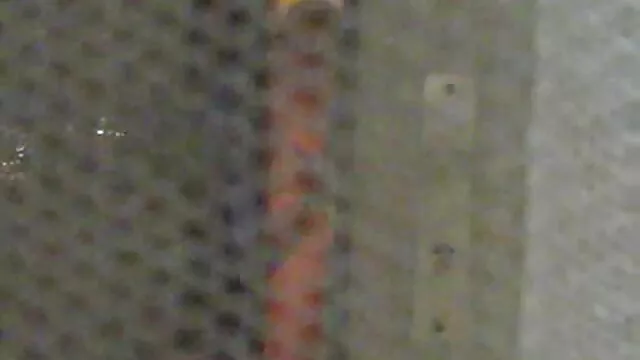 Tamara madres borrachas xxx